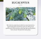 Eucalyptus Essential Oil 30ml Car Hotel Indoor Diffuser Special Flameless Aromatherapy Massage Skincare Plant Oil