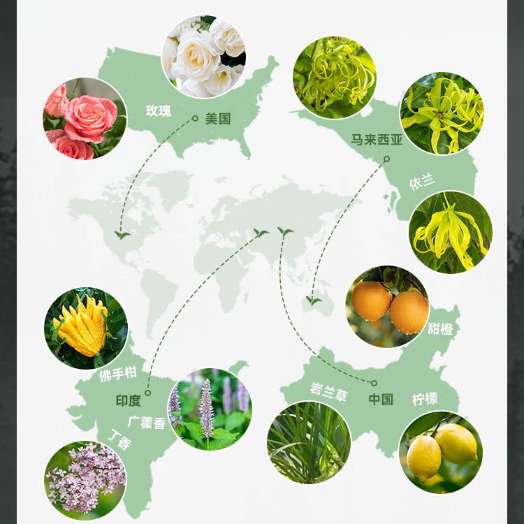 Wuyuan 10ml Lavender Rose Sweet Orange Tea Tree Pure Plant Aromatherapy Essential Oil Natural Single Essential Oil Wholesale