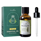Eucalyptus Essential Oil 30ml Car Hotel Indoor Diffuser Special Flameless Aromatherapy Massage Skincare Plant Oil