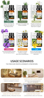 Water-soluble Lavender Essential Oil 10ml Aromatherapy Lavender Essential Oil Perfume Oil