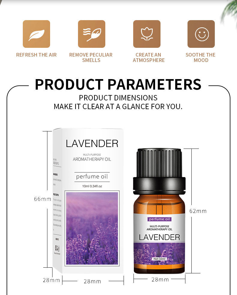 Water-soluble Lavender Essential Oil 10ml Aromatherapy Lavender Essential Oil Perfume Oil