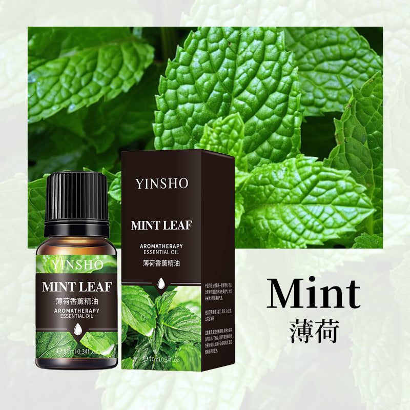 YINSHO Flameless Aromatherapy Essential Oil for Home Air Freshener Water-Soluble Humidifier Special Essential Oil Manufacturer Wholesale