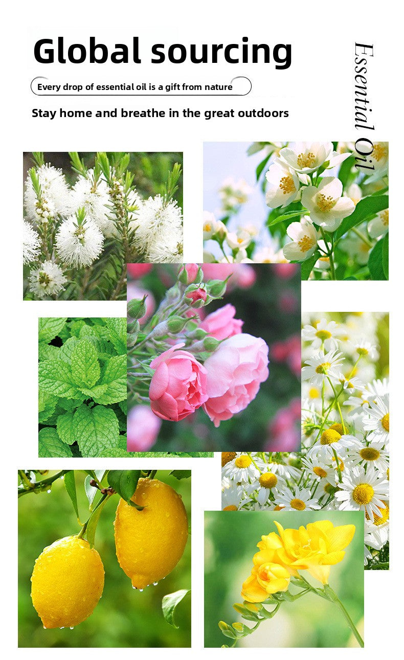 Cross-Border Single Essential Oil Rose Lavender Jasmine Massage SPA Aromatherapy Plant Extract Water-Soluble Fragrance Essential Oil