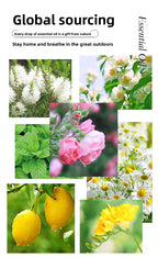 Cross-Border Single Essential Oil Rose Lavender Jasmine Massage SPA Aromatherapy Plant Extract Water-Soluble Fragrance Essential Oil