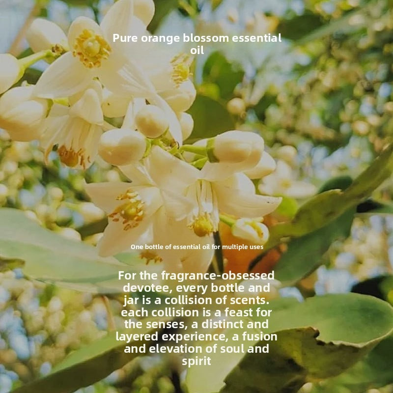Orange Blossom Essential Oil 10ml Pure Single Ingredient Aromatherapy Massage Oil for Diffuser Humidifier Skin Care