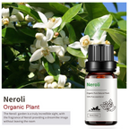 Orange Blossom Essential Oil 10ml Pure Single Ingredient Aromatherapy Massage Oil for Diffuser Humidifier Skin Care