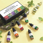 Water Soluble Aromatherapy Essential Oil 10ml x6 Set for Humidifier Diffuser Room Long Lasting Moisturizing Aroma Diffuser