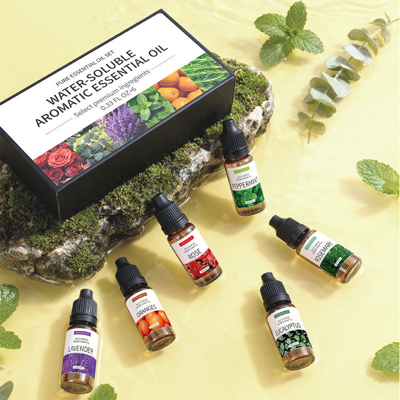 Water Soluble Aromatherapy Essential Oil 10ml x6 Set for Humidifier Diffuser Room Long Lasting Moisturizing Aroma Diffuser