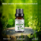 10ml Water-Soluble Aromatherapy Essential Oil for Fresh Fragrance, Humidifier Diffuser, Long-Lasting Scent, Cross-Border Hot Item