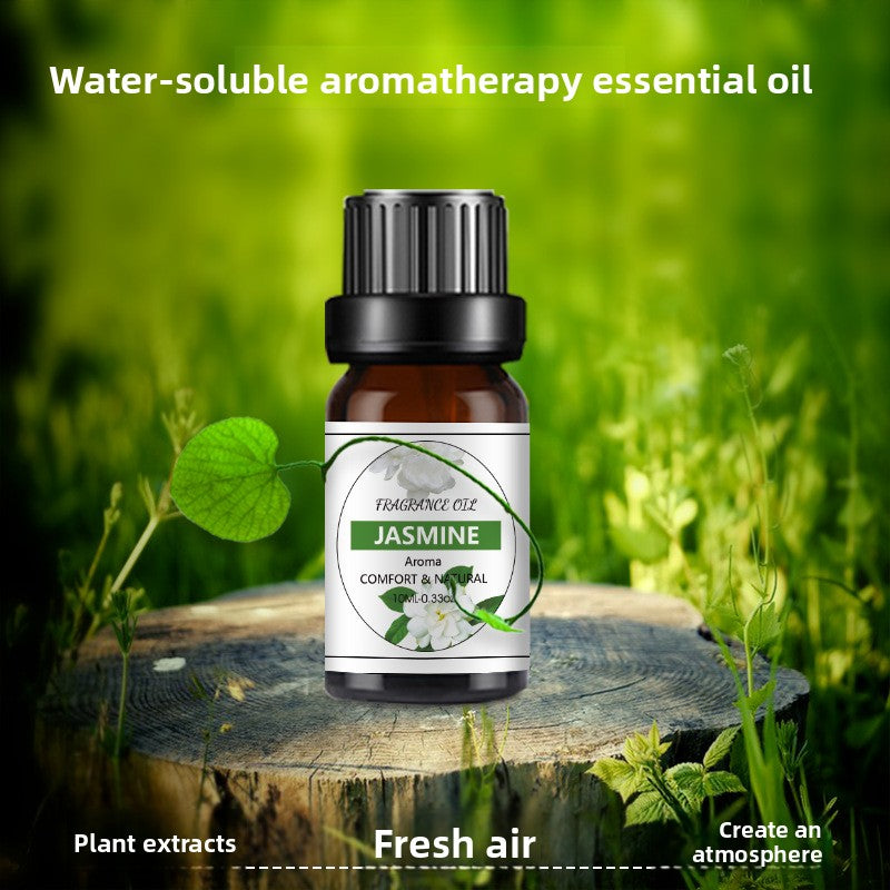 10ml Water-Soluble Aromatherapy Essential Oil for Fresh Fragrance, Humidifier Diffuser, Long-Lasting Scent, Cross-Border Hot Item