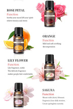 Oil-Soluble Aromatherapy Essential Oil 10ml Diffuser Paraffin Candle Aromatherapy Essential Oil Oil-Soluble Essential Oil
