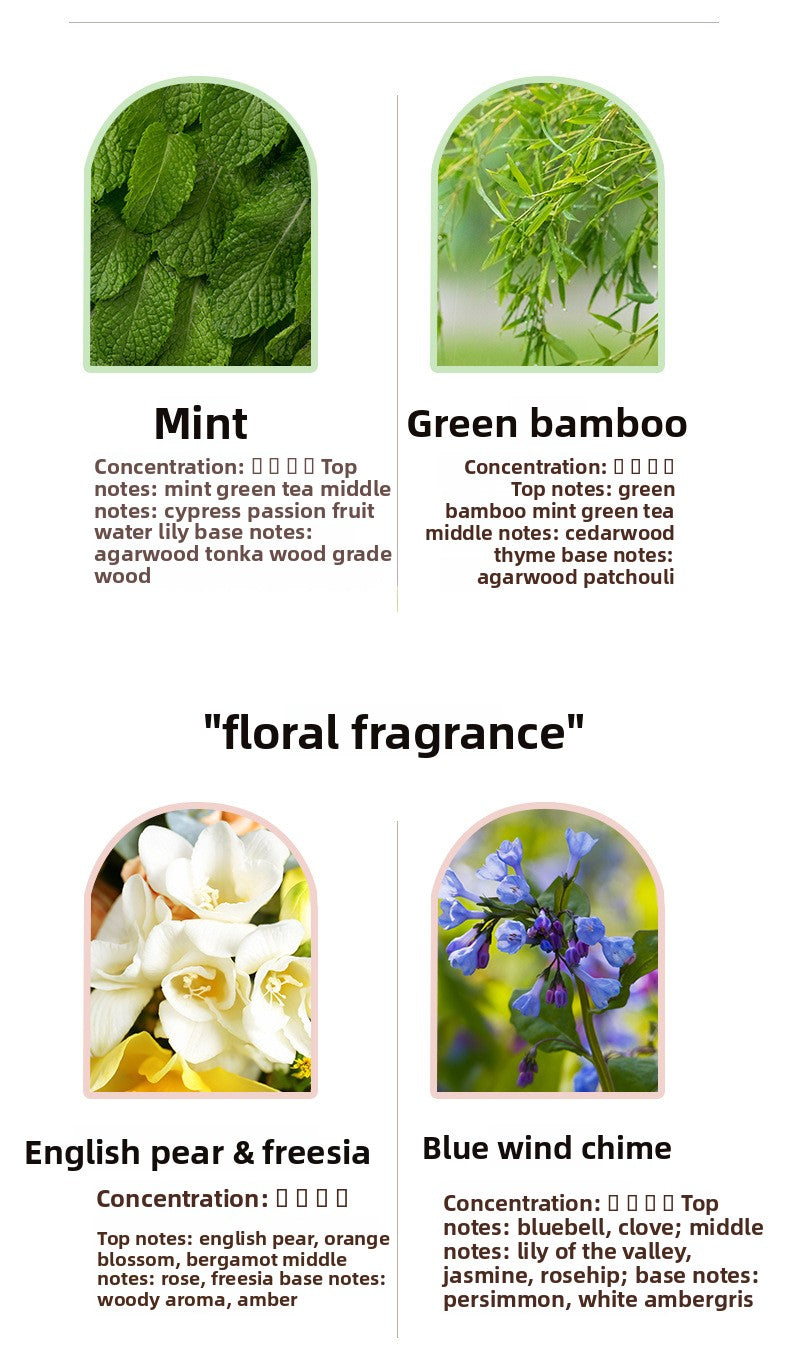 Oil-Soluble Aromatherapy Essential Oil Fresh Air Aromatherapy Candle Diffuser Stone Special Plant Aromatherapy Essential Oil