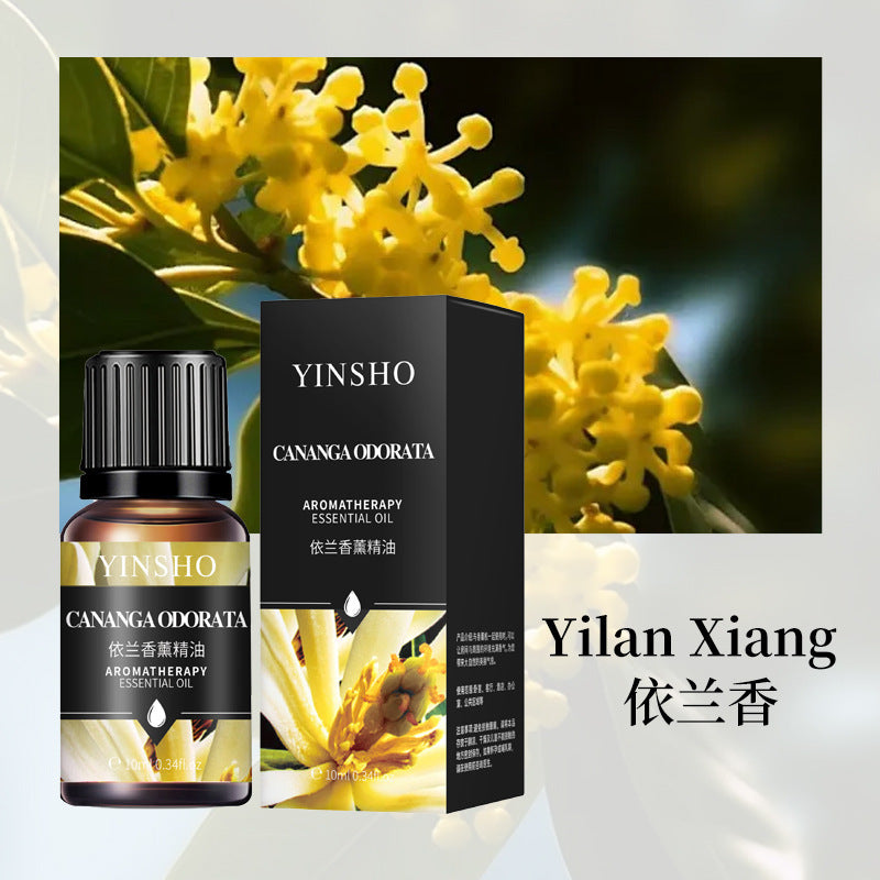 YINSHO Flameless Aromatherapy Essential Oil for Home Air Freshener Water-Soluble Humidifier Special Essential Oil Manufacturer Wholesale