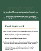 Wholesale DIY Team Building Perfume Essential Oil Concentrate Indoor Salon Homemade Perfume Fragrance Oil Balm Plant Essential Oil