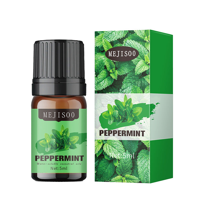 Cross-Border English Water-Soluble Aromatherapy Essential Oil 5ML Plant Essential Oil Suitable for Bedroom Humidifier Diffuser Aromatherapy Essential Oil