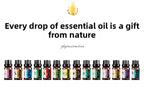 Water-Soluble Aromatherapy Essential Oil Lavender Rose Fragrance Aromatherapy Humidifier Special Wholesale Processing Cross-Border Exclusive Supply