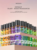 Cross-Border English Water-Soluble Aromatherapy Essential Oil 5ML Plant Essential Oil Suitable for Bedroom Humidifier Diffuser Aromatherapy Essential Oil