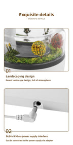 Cross-Border New Micro Landscape Aromatherapy Machine Household Ultrasonic Colorful Gradient Atmosphere Light White Noise Raindrop Fragrance Machine