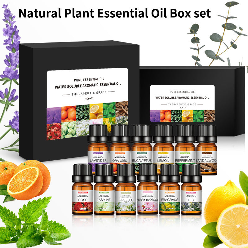 Water-Soluble Aromatherapy Essential Oil 10ml Humidifier Diffuser Stone Gypsum Long-Lasting Incense Set Long-Lasting Fragrance