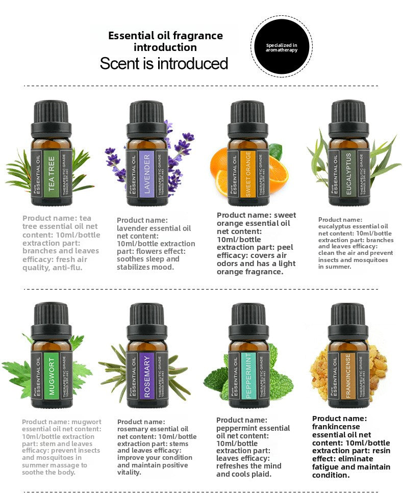 Cross-Border Plant Essential Oil In Stock 10ml Lavender Rose Jasmine Skincare Aromatherapy Massage Oil Essential Oil Sample