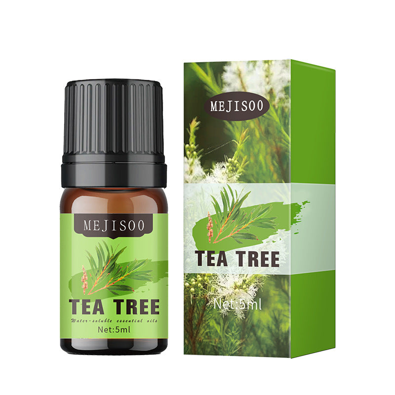 Cross-Border English Water-Soluble Aromatherapy Essential Oil 5ML Plant Essential Oil Suitable for Bedroom Humidifier Diffuser Aromatherapy Essential Oil