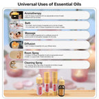 iny Calm Nest Oil - Kid-Friendly Aromatherapy Blend (Lavender/Sweet Orange) for Peaceful Moments