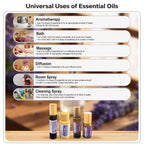 Serene Night Oil - Lavender & Rose Aromatherapy Roll-On for Restful Sleep & Calm Nights