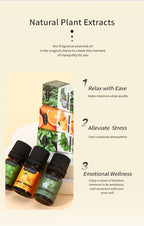 Cross-Border English Water-Soluble Aromatherapy Essential Oil 5ML Plant Essential Oil Suitable for Bedroom Humidifier Diffuser Aromatherapy Essential Oil
