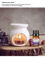 Water-Soluble Aromatherapy Essential Oil 10ml Humidifier Diffuser Stone Gypsum Long-Lasting Incense Set Long-Lasting Fragrance