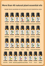 10ml Pure Plant Essential Oil Natural Aromatherapy Oils for Home Diffuser Relaxation Skin Care