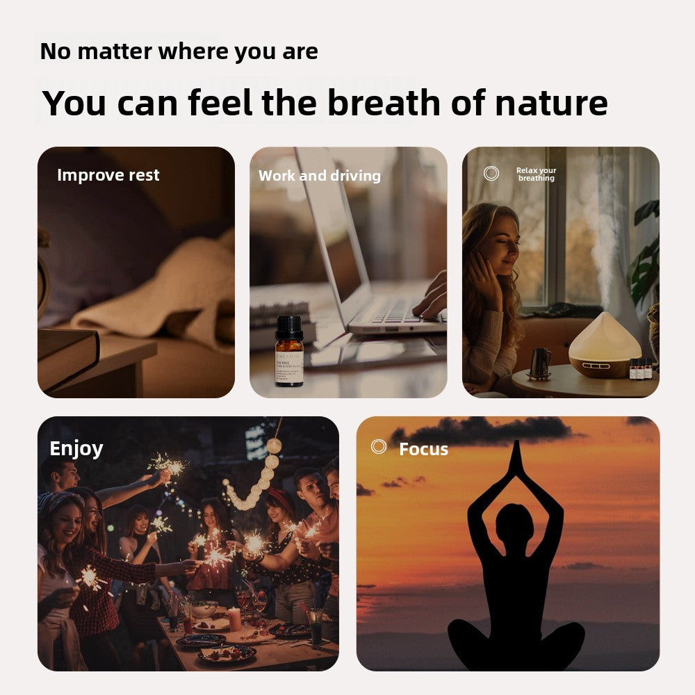 Cross-Border Plant Single Aromatherapy Essential Oil 10ml Lavender Rose Lemon Rosemary Bergamot Black Pepper Essential Oil