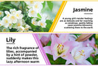 YINSHO Water-Soluble Aromatherapy Essential Oil for Car Interior Air Freshening, Long-Lasting Fragrance, Deodorizing, Humidifier Aromatherapy Essential Oil