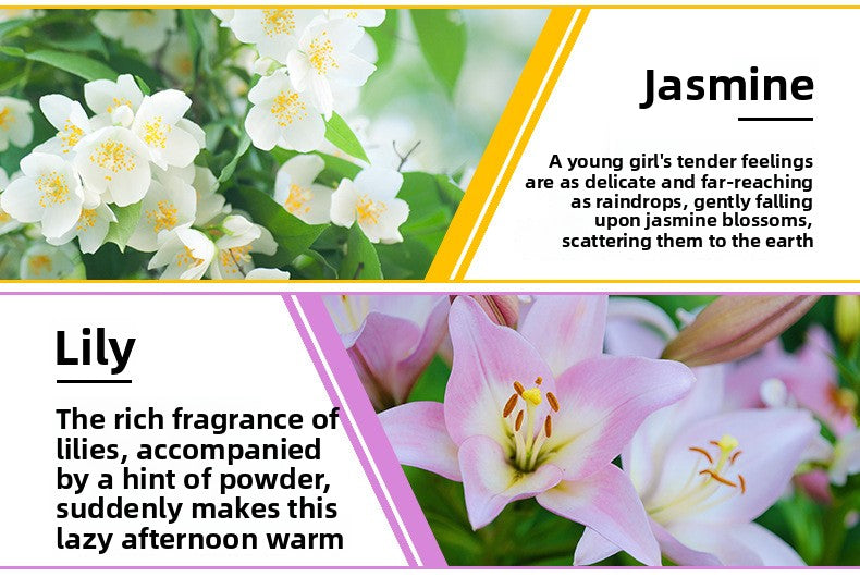 YINSHO Water-Soluble Aromatherapy Essential Oil for Car Interior Air Freshening, Long-Lasting Fragrance, Deodorizing, Humidifier Aromatherapy Essential Oil