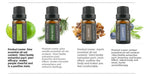 Cross-Border Plant Essential Oil In Stock 10ml Lavender Rose Jasmine Skincare Aromatherapy Massage Oil Essential Oil Sample