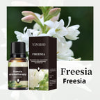 YINSHO Flameless Aromatherapy Essential Oil for Home Air Freshener Water-Soluble Humidifier Special Essential Oil Manufacturer Wholesale