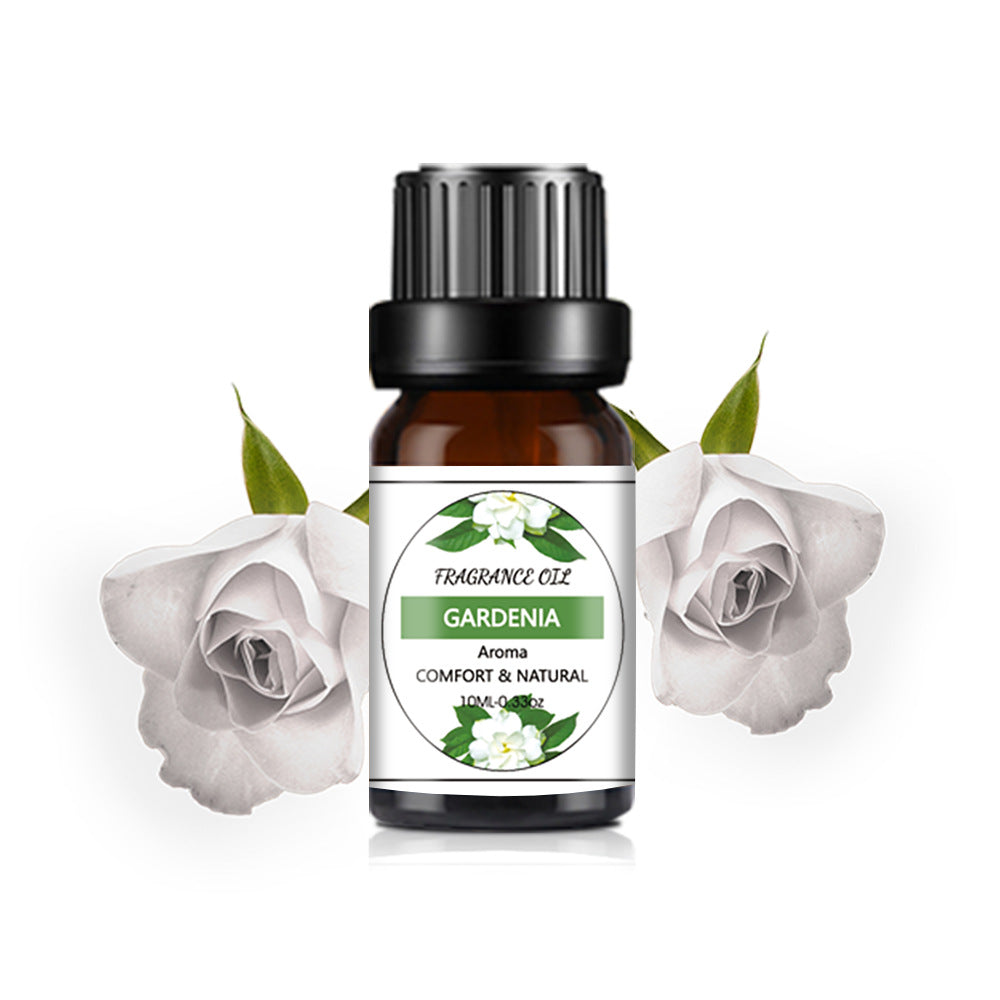 10ml Water-Soluble Aromatherapy Essential Oil for Fresh Fragrance, Humidifier Diffuser, Long-Lasting Scent, Cross-Border Hot Item