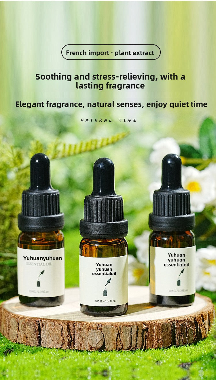 Humidifier Aromatherapy Essential Oil Special for Home Indoor Long-lasting Gypsum Diffuser Stone Dropper Type Aromatherapy Essential Oil Water-soluble