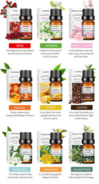 Water-soluble Lavender Essential Oil 10ml Aromatherapy Lavender Essential Oil Perfume Oil