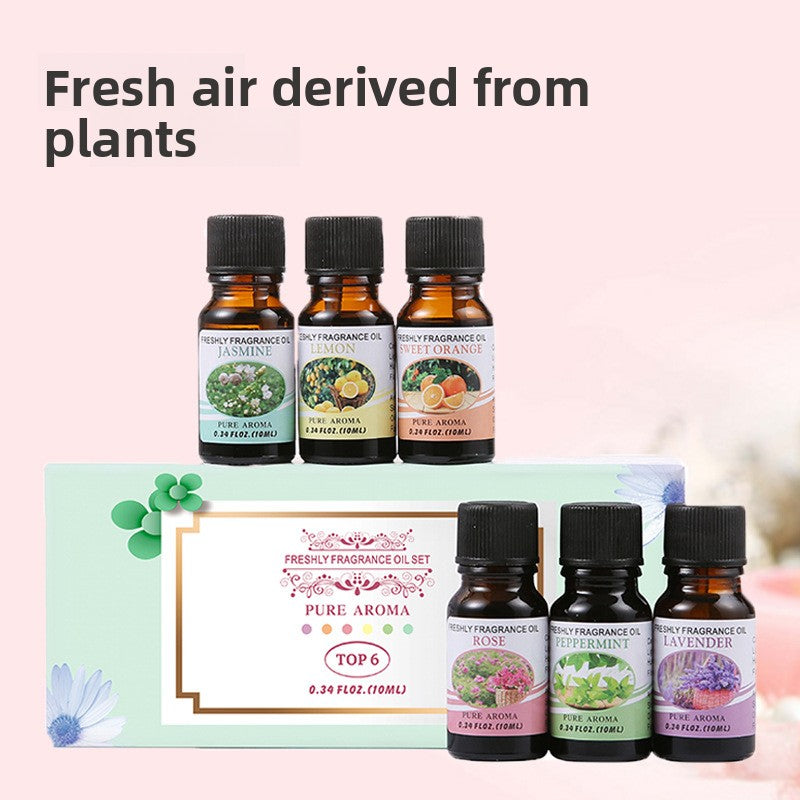 Essential Oil Diffuser Stones Set Water Soluble Aromatherapy Humidifier Plant Sweet Orange Scented Gift Box Home Fragrance