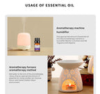 Water-Soluble Aromatherapy Essential Oil 10ml Humidifier Diffuser Stone Gypsum Long-Lasting Incense Set Long-Lasting Fragrance