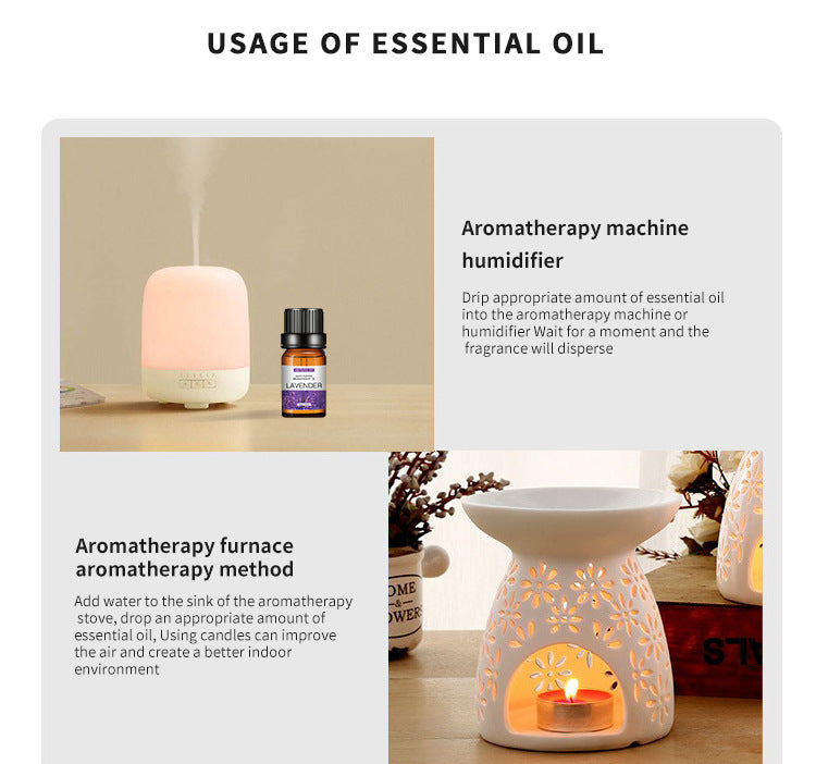 Water-Soluble Aromatherapy Essential Oil 10ml Humidifier Diffuser Stone Gypsum Long-Lasting Incense Set Long-Lasting Fragrance