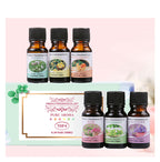 Essential Oil Diffuser Stones Set Water Soluble Aromatherapy Humidifier Plant Sweet Orange Scented Gift Box Home Fragrance