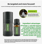 Cross-Border Plant Essential Oil In Stock 10ml Lavender Rose Jasmine Skincare Aromatherapy Massage Oil Essential Oil Sample