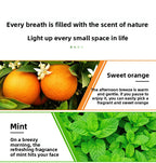 10ML Water Soluble Humidifier Aromatherapy Essential Oil Fragrance Oil Lavender Rose Aromatherapy Essential Oil