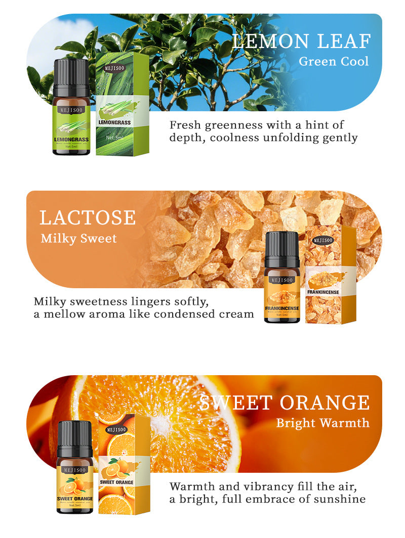 Cross-Border English Water-Soluble Aromatherapy Essential Oil 5ML Plant Essential Oil Suitable for Bedroom Humidifier Diffuser Aromatherapy Essential Oil