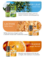 Cross-Border English Water-Soluble Aromatherapy Essential Oil 5ML Plant Essential Oil Suitable for Bedroom Humidifier Diffuser Aromatherapy Essential Oil