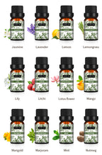 Full Set Candle Aromatherapy Essential Oil Lavender Single Essential Oil 10ml Perfume Oil Massage Skincare Plant Tea Tree Essential Oil