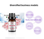 10ml Water-Soluble Aromatherapy Essential Oil for Fresh Fragrance, Humidifier Diffuser, Long-Lasting Scent, Cross-Border Hot Item