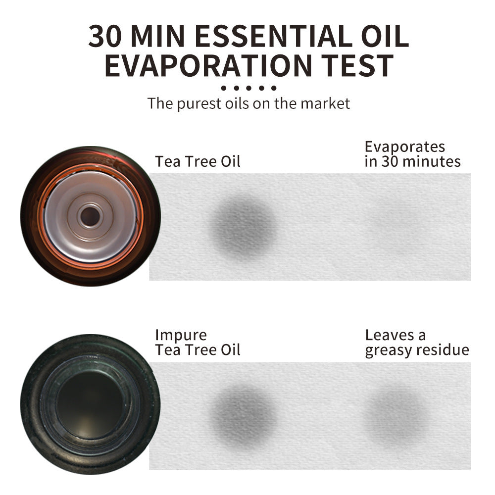 100% Pure Essential Oils Set Aromatherapy for Home Diffuser Natural Plant Extracts Long Lasting Fresh Air Water Soluble Aromatherapy Kit