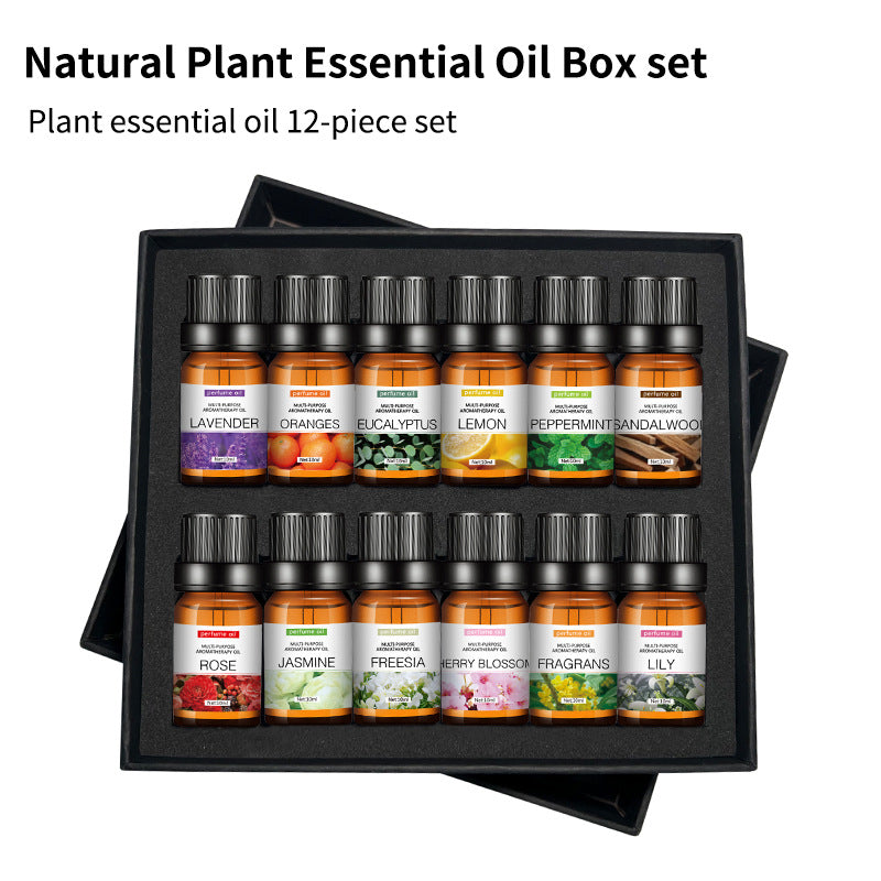 Water-Soluble Aromatherapy Essential Oil 10ml Humidifier Diffuser Stone Gypsum Long-Lasting Incense Set Long-Lasting Fragrance